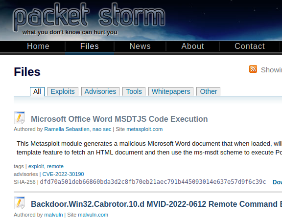 searching for exploits on packet storm